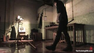 The Training of Dia Zerva, Day Four