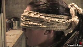 The Training of Jade Indica, Day Three