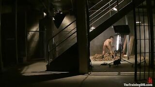 The Training of Nikki Darling, Day Four