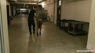 The Training of Nikki Darling, Day Two