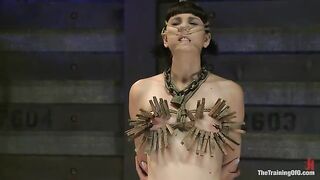 Training Coral Aorta - Day 1