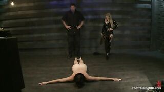 Training Coral Aorta Day 3