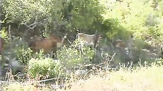 Cabo, the Return. Part 4