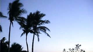 Cabo, the Return. Part 7.