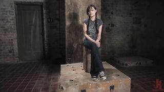 Sasha Grey Chased and Captured