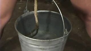 trixie kitten, Cloe Hart and Audrey Leigh