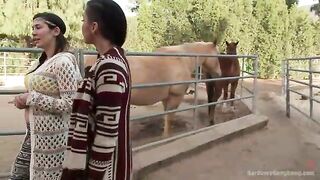 Busty Latina Discovers Orgasmic Transcendence of Sexual Submission