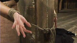 Mark Davis and Rita Faltoyano