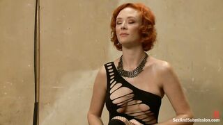 The Politician's Wife