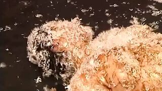 Powergames - Compilation of tied up sluts being tormented