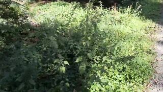 I put some nettles in my bra and go for a walk