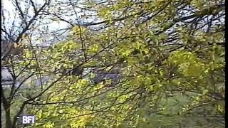 The Ultimate Bondage bound for Galaxy.