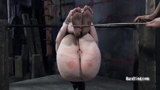 HARDTIED - ﻿Sybil Hawthorne - Suffer, Part Two