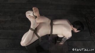 HARDTIED - ﻿Juliette March Twice Kissed