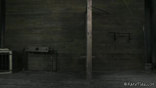 HARDTIED - ﻿﻿﻿﻿﻿Felony The Hunger