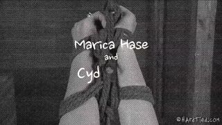 HARDTIED -﻿ Marica Hase - Shriek