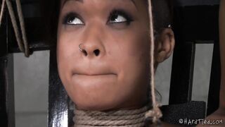 HARDTIED - ﻿Skin Diamond Skinned Alive