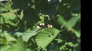 Bekehrung (Full Movie)