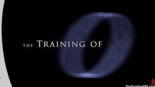TheTrainingOfO - The Training Of Princess Donna Day Four
