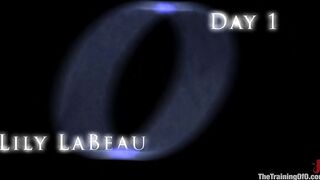 TheTrainingOfO - Lily LaBeau, Felony, Sinn Sage