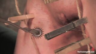 TheTrainingOfO - Calico