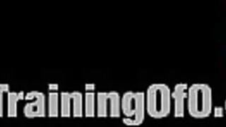 TheTrainingOfO - Calico 3