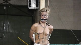 FutileStruggles - The Whore Wont Be Getting His Inheritance 2