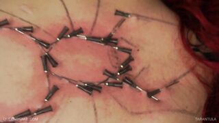 TARANTULA