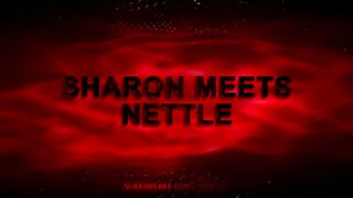 SHARON MEETS NETTLE