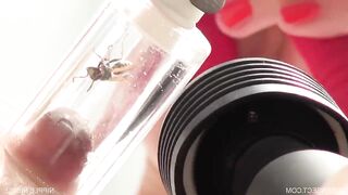 Little wasp can make this girl scream harder than any cock