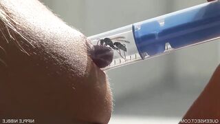 Little wasp can make this girl scream harder than any cock