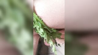 Stinging Nettle 1 My first experience