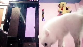 Indian boy masturbating hard