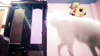 Indian boy masturbating hard