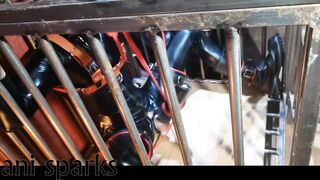 caged pup getting milked