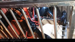 caged pup getting milked