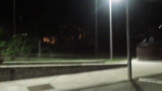 long risky exhib on toilet of a rest area