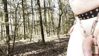 Chastity walk in public forest