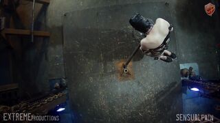 Mouse Sports In Bondage Birds Eye View 