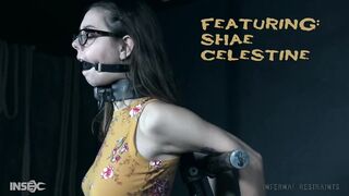 INFERNAL RESTRAINTS - Shae Celestine - Newbie Knockout 