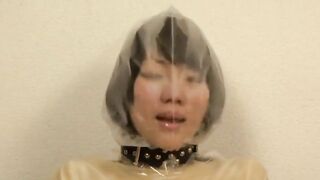Cocoa Soft cvbg-001 - Bagging girl & Minitodome no Yakata 